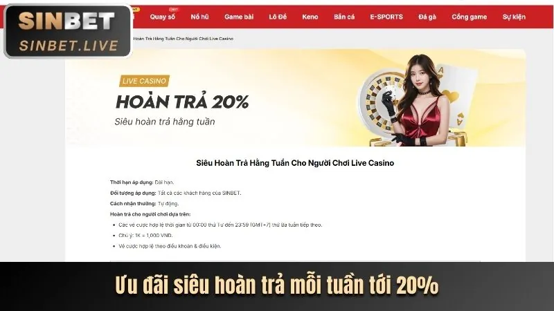 Hoàn trả cược hàng ngày không giới hạn B52WIN
